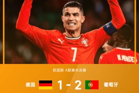 九游社区-葡萄牙比赛最后时刻球迷冲场大四喜